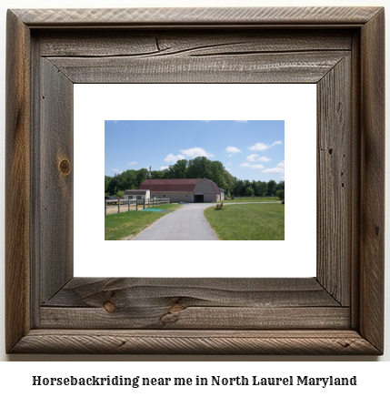 horseback riding near me in North Laurel, Maryland